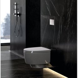 Geberit Omega60 betjeningsplade. Sort glas/krom